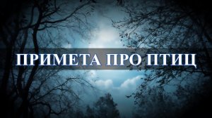 Примета: если в дом залетела птица, ожидайте...