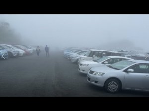 АВТОРЫНОК ЗЕЛЕНЫЙ УГОЛ /  ЦЕНЫ 2 ИЮНЯ 2021 / АВТОПОДБОР ВЛАДИВОСТОК
