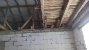 Грибок на стропилах крыши