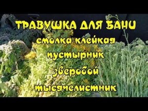 Июльский сбор трав для бани.