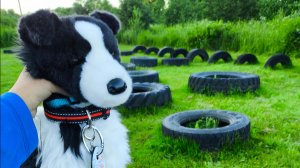 Обзор почти всех игрушек Окси!? (Что я взяла к бабушке) #DoglifeStar #LipaStar
