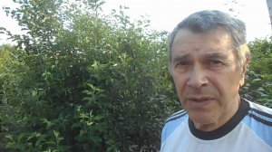СПОРИМ, ГОТОВИМ И ВСЕ НА ДАЧЕ