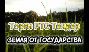 Торги РТС Тендер