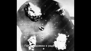 Интересные факты о тунгуском метеорите
