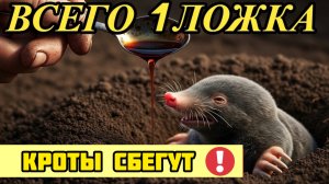 Бросьте это в нору! Кроты уйдут за 24 часа навсегда!