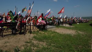 ДЕПУТАТЫ ОБСУДИЛИ ПРОБЛЕМЫ КРАСНОЯРСКИХ ПОГОСТОВ