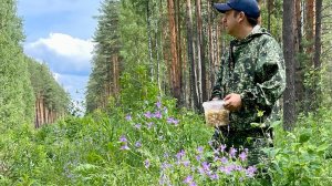 Грибы в Июне! Первые летние грибы 2025