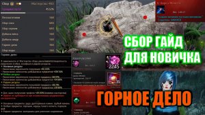 Black Desert СБОР ГАЙД ДЛЯ НОВИЧКА \ КОРАЛЛЫ РУСАЛКИ 1ккк+ в час