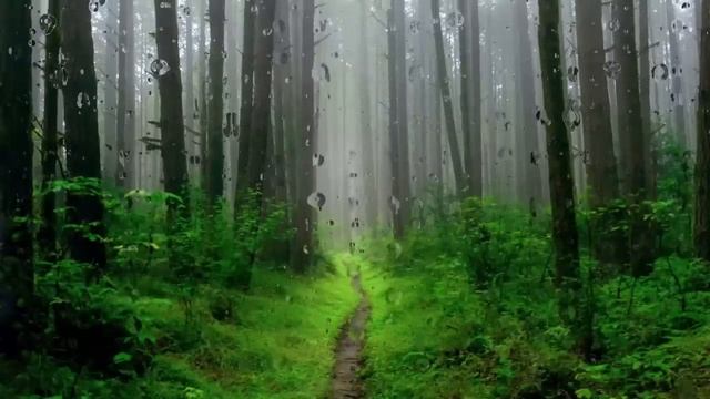 Бабушкин кот. Интересная мистическая история 4.