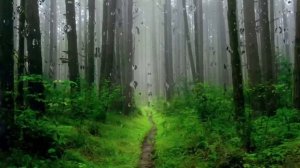 Бабушкин кот. Интересная мистическая история 4.