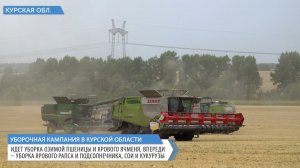 В Курской области высокими темпами продолжается уборочная кампания