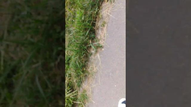 1000010489.mp4 смотреть онлайн