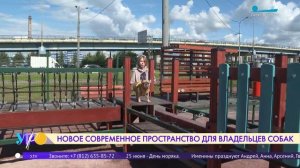 Площадка для собак открылась в Выборгском районе