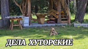 ДЕЛА ХУТОРСКИЕ. ОТ ПЧЁЛ ДО ПОРОСЯТ И КРОЛИКОВ.