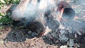 Чтобы деревянный столб не гнил в земле