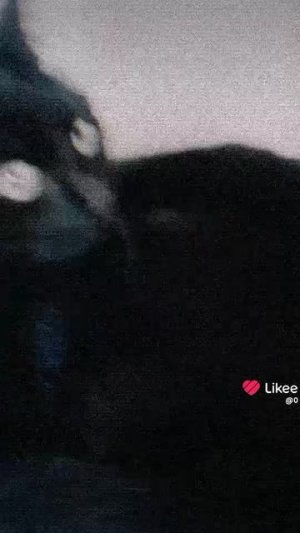 Вестик