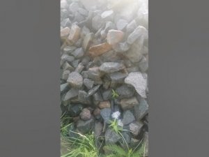 Габионы. новый проект постройки комбинированого забора.