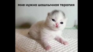 Разговоры с коллекторами 140