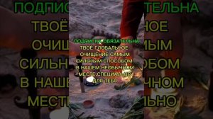 ОЧИЩЕНИЕ ТЕБЯ НА СПЕЦМЕСТЕ СИЛЫ