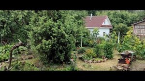 Нет настроения и нет вдохновения 25-06-2026