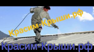 Покраска крыши дома в городе Можайск