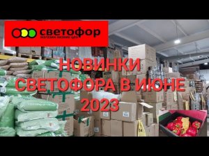 Новинки Светофора в июне 2023 года. Холодильник, посуда, конфеты.