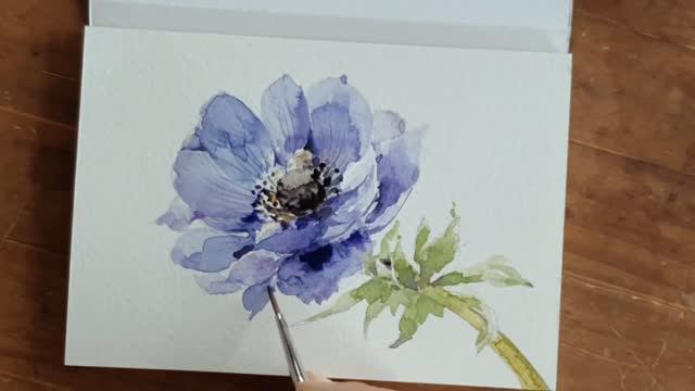 Рисунок цветка анемоны акварелью.