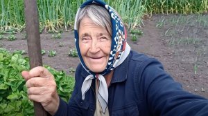 ПОДАРКИ ДЛЯ АННУШКЕ . ЖАННА МОЛОДЕЦ.