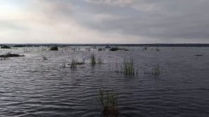 https://vk.ru/yagoldenfish
Рыбалка на спиннинг, озеро Неро
