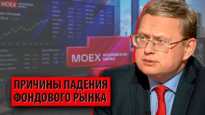 Падение фондового рынка отражает неадекватность экономической политики (Михаил Делягин)