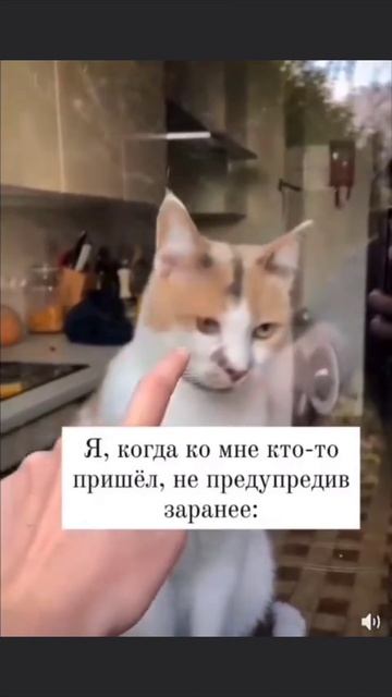 Жизненно смотреть онлайн