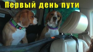 В ДОБРЫЙ ПУТЬ /ДОРОГА ДОМОЙ/ ПЕРВЫЙ ДЕНЬ/ 14 июня 2026