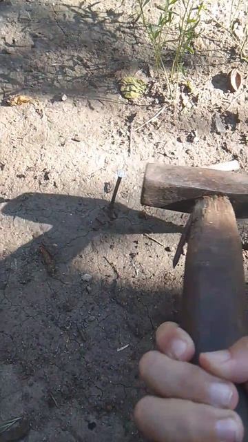 Тутор как выбить гвоздь из земли #юмор #приколы
