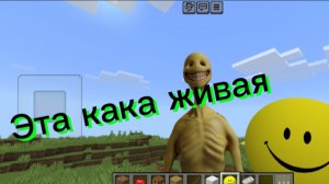 Мод на верити в майнкрафт