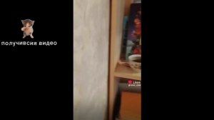 Бюджетный косплей на 99 ночей в лесу