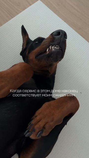 ЛИЧНЫЕ МАССАЖИСТЫ 💆🏻♀️
