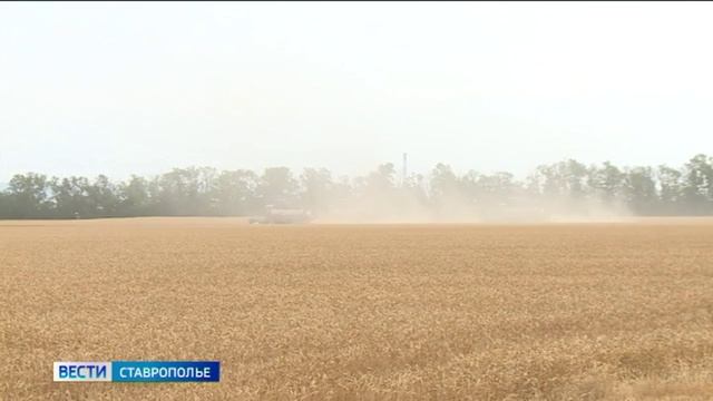 Уборка урожая началась на Ставрополье смотреть онлайн