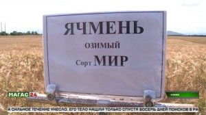 Аграрии Ингушетии собрались на полевой семинар в Сунженском районе