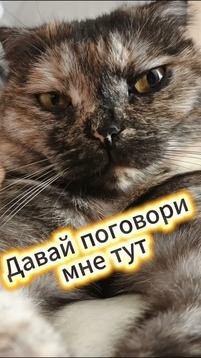 Вот подляна!!! смотреть онлайн
