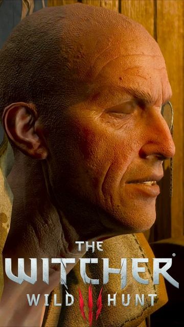 «НЕ В ЭТОМ ДЕЛО!» Талер, Дийкстра и роль Геральта. Дела гос. важности. The Witcher 3 #shorts