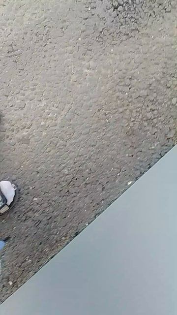 VID_20260624_124109.mp4 смотреть онлайн