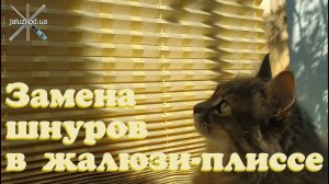 Как заменить шнуры в жалюзи плиссе / Replacing cords pleated blinds  #шторыплиссе #жалюзиплиссе