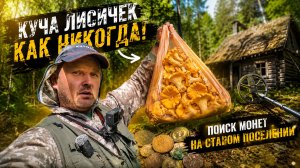 ЛЕС СОШЁЛ С УМА! ЛИСИЧКИ МЕШКАМИ И ПОИСК МОНЕТ