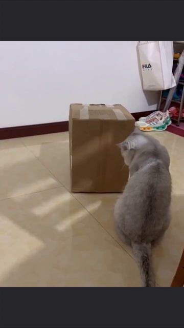 Упс, что-то пошло не так смотреть онлайн