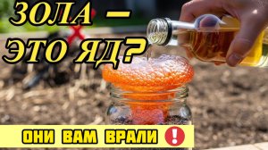Зола убивает урожай! Главная ошибка 90% дачников.