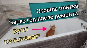 Отвалилась плитка. Опять ремонт.