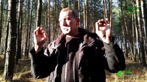 Один лесник крадет - другой лесник прикрывает. Петровское лесничество, Изюмский лесхоз