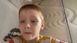 Спасение блейзагода, гуджитсу.
