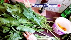 Зацветают мои лилии, альстрамерии...