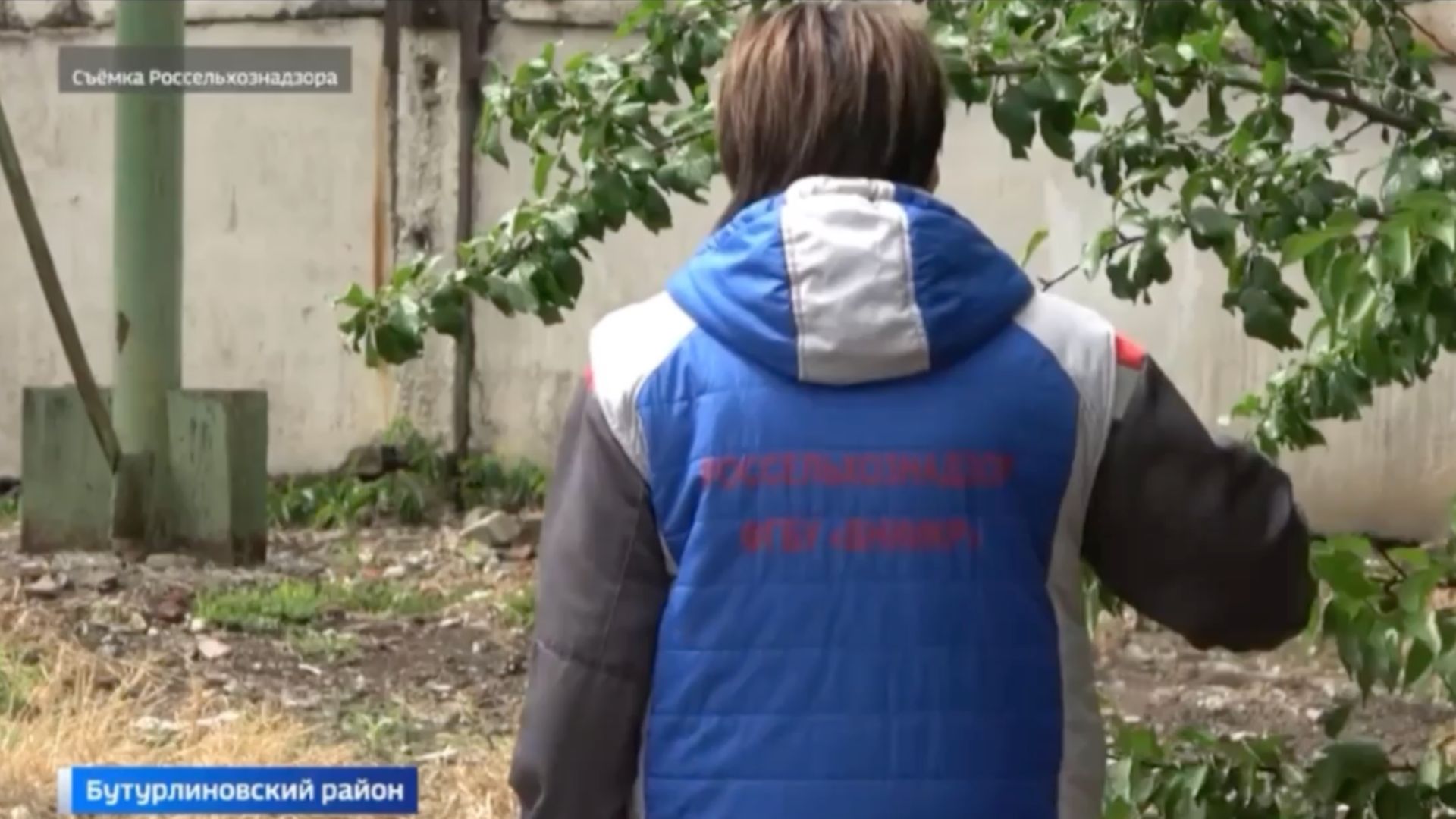 Сотрудники Воронежского филиала ВНИИКР принимают участие в проверочных мероприятиях на элеваторах